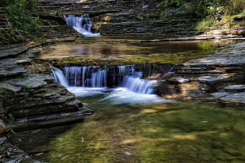 Stony Brook State Park - Dansville, New York