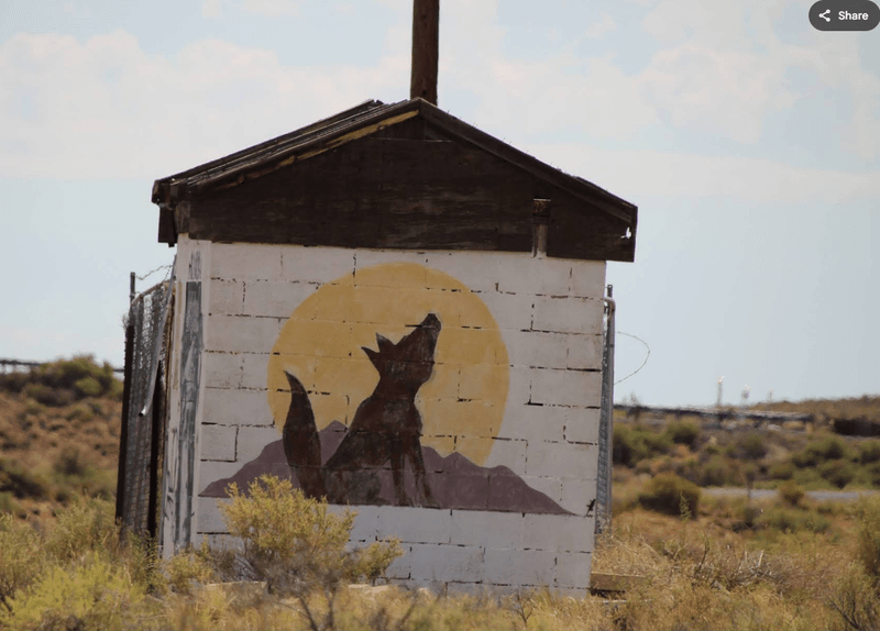 You won't want to be in this Arizona ghost town once night falls 5 The Ghost Town Zoo Nobody Talks About