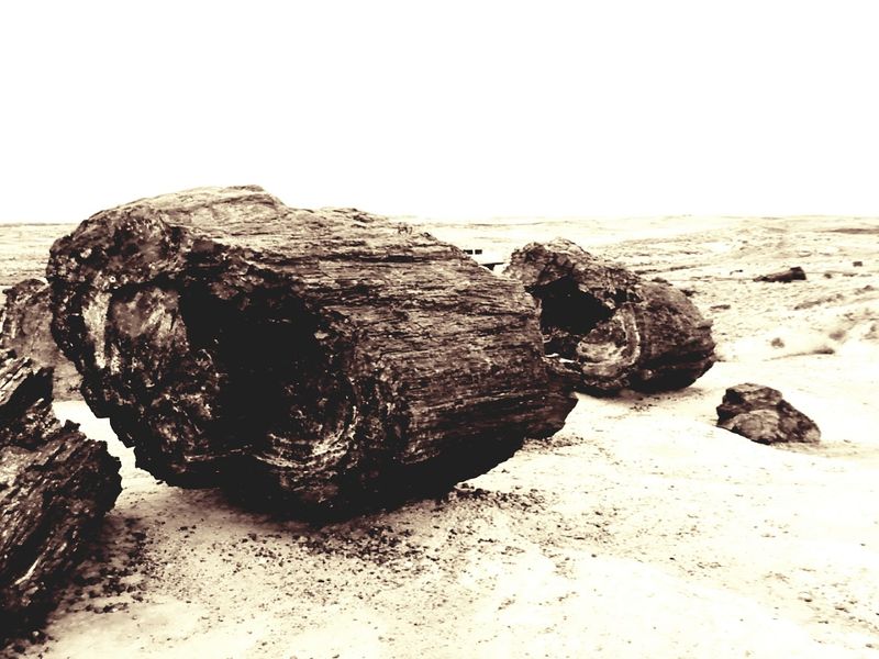 Painted Desert - Arizona