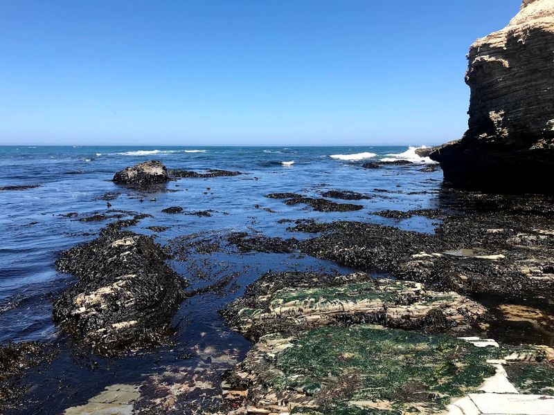 This Small California State Park Is Perfect For Letting Go Of Stress 5 Tide Pools: A Mini Ocean World at Your Feet