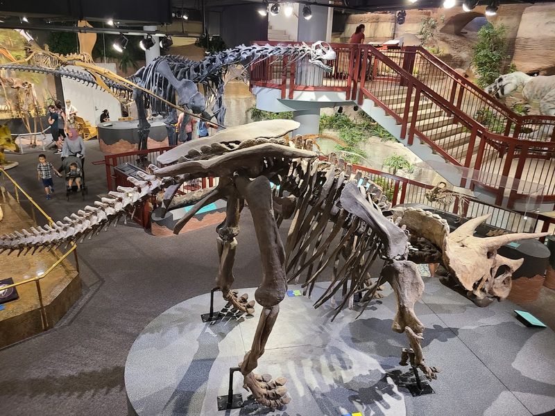 Arizona Museum of Natural History - Mesa, Arizona