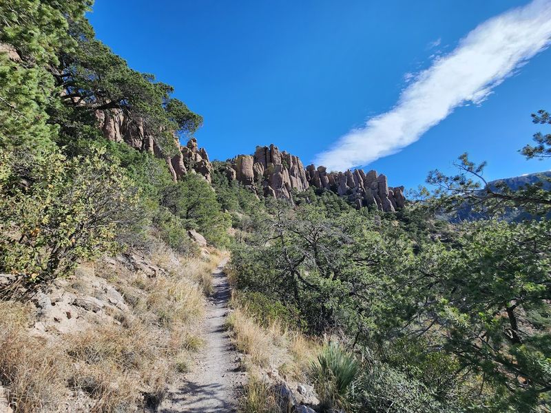 Wildlife Encounters You Seriously Did Not Expect