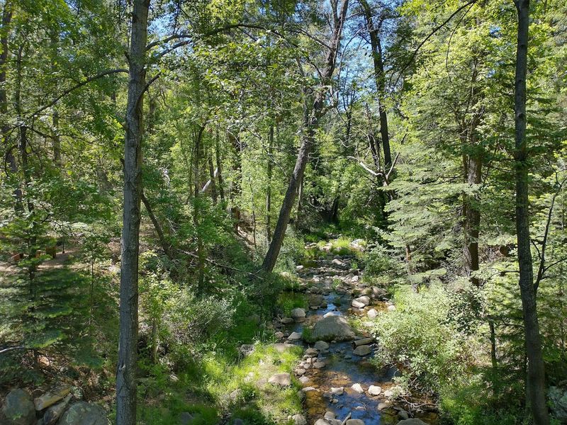 18 Beautiful Arizona Mountain Towns Where Life Moves Slower And Costs Less 8 Pine - Arizona