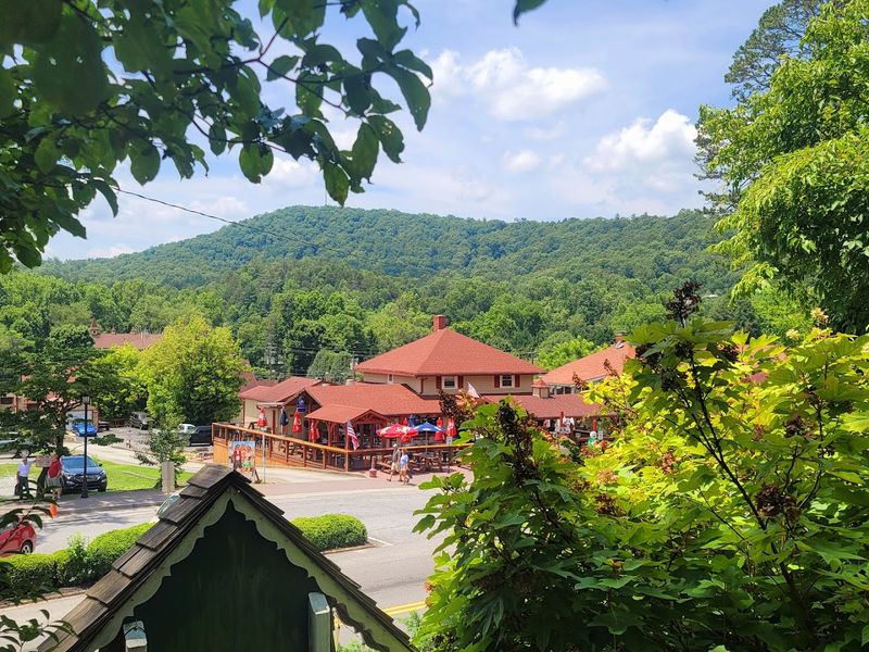 Vineyards and Wine Tasting: Sipping the Flavors of the Georgia Mountains