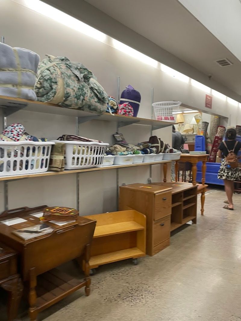 Hidden Gems That Keep Treasure Hunters Hooked