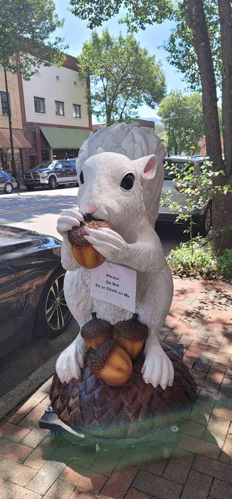 Brevard - Brevard, North Carolina