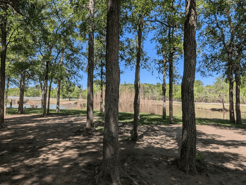 A Tropical Feel That Feels Out of Place in Texas