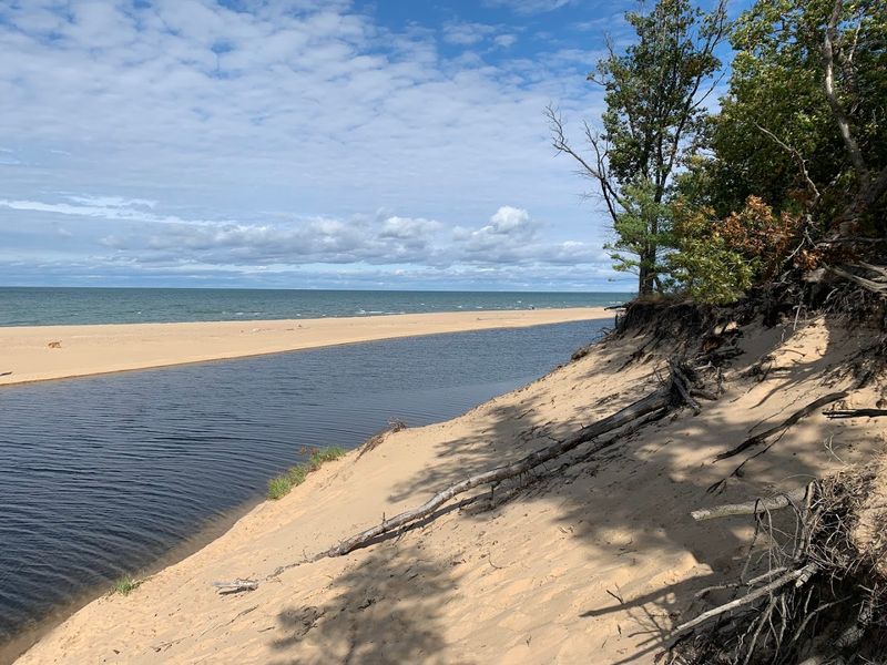 Fishing Along the Shoreline and River