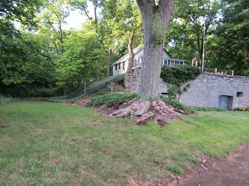 Hiking Trails Through Untouched Island Wilderness