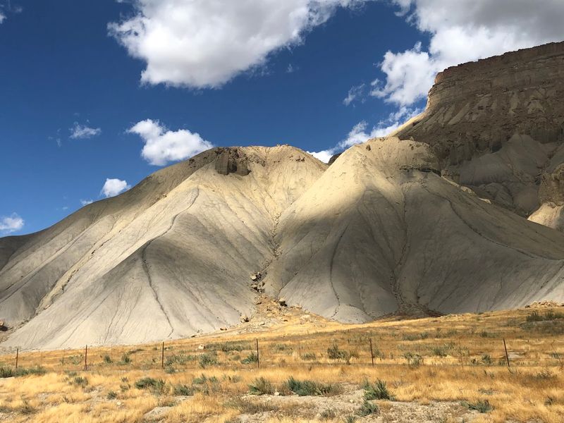 Harvest Season — When Palisade Comes Alive