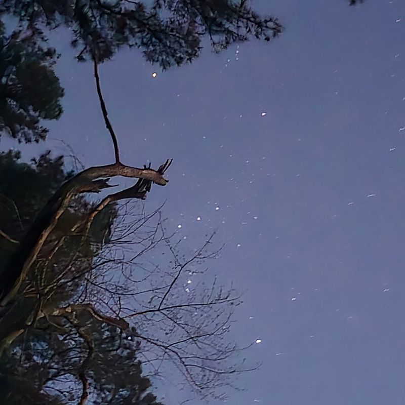 A hidden Texas state park filled with trails, trees, and hardly any crowds 6 Camping Under a Canopy of Stars