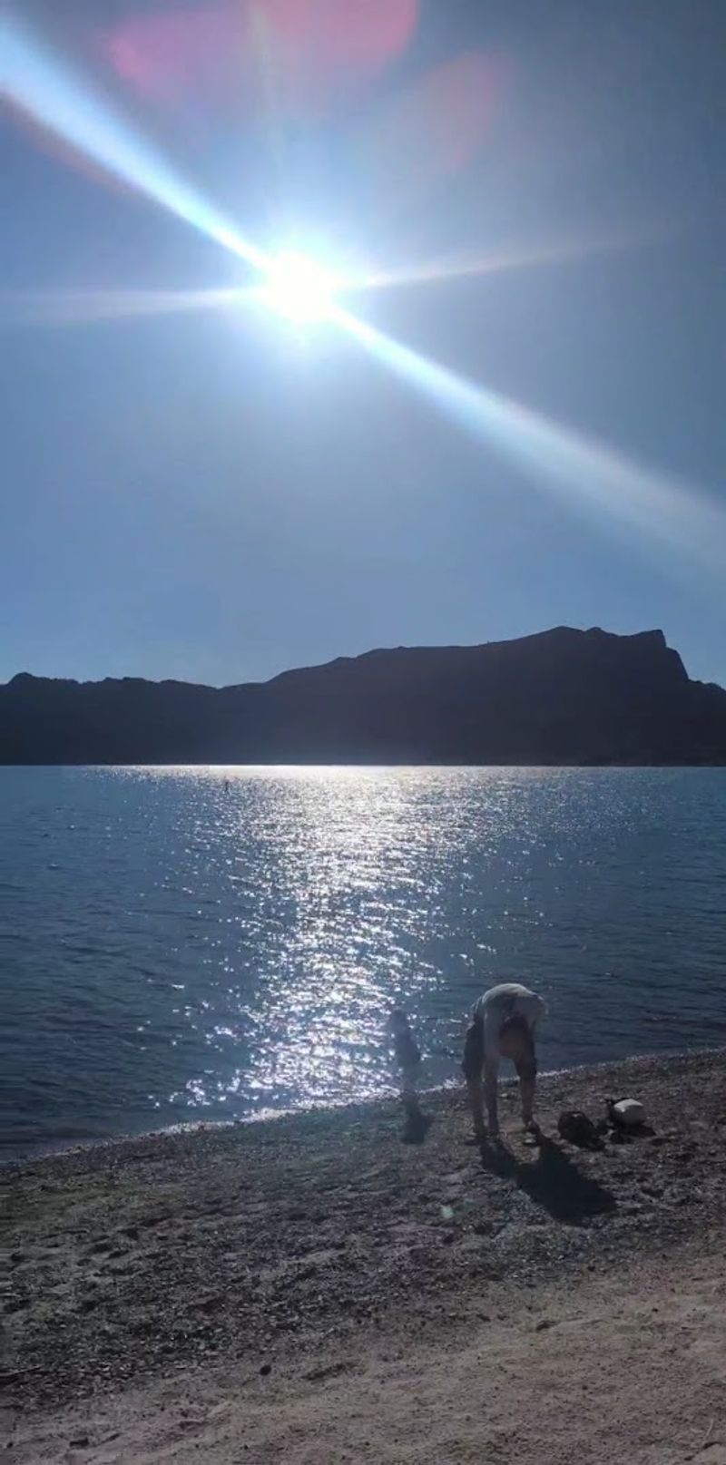 Dog-Friendly Amenities Throughout the Park