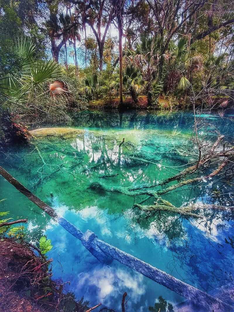 Best Time of Year to Visit Fern Hammock Springs