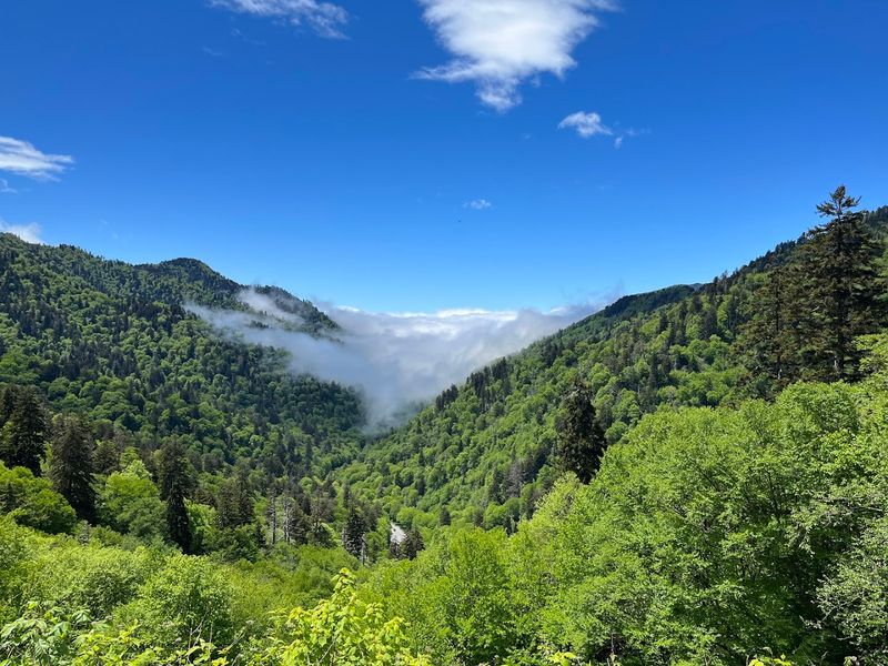 A Free Park That Gives Back More Than You Expect