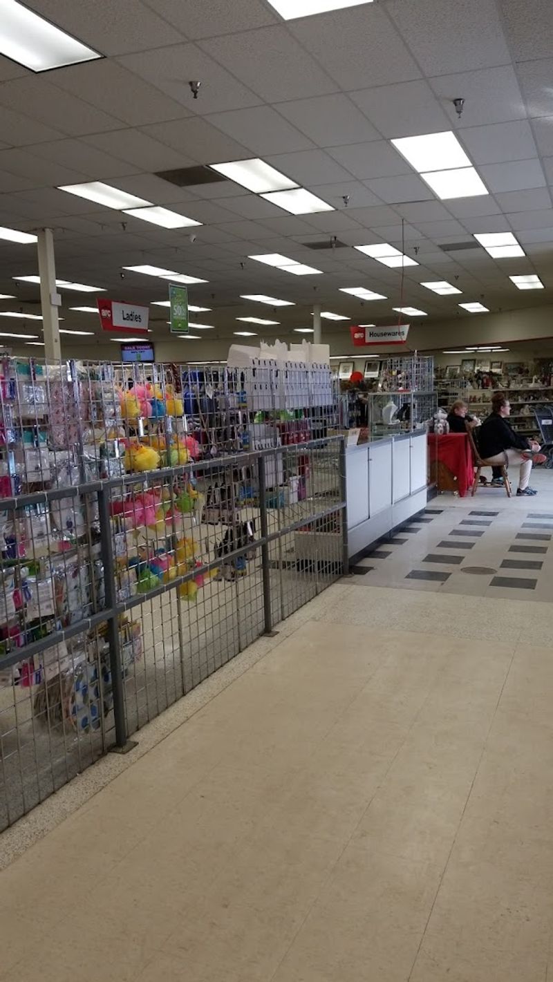 Electronics and Tech Items: Proceed With Curiosity