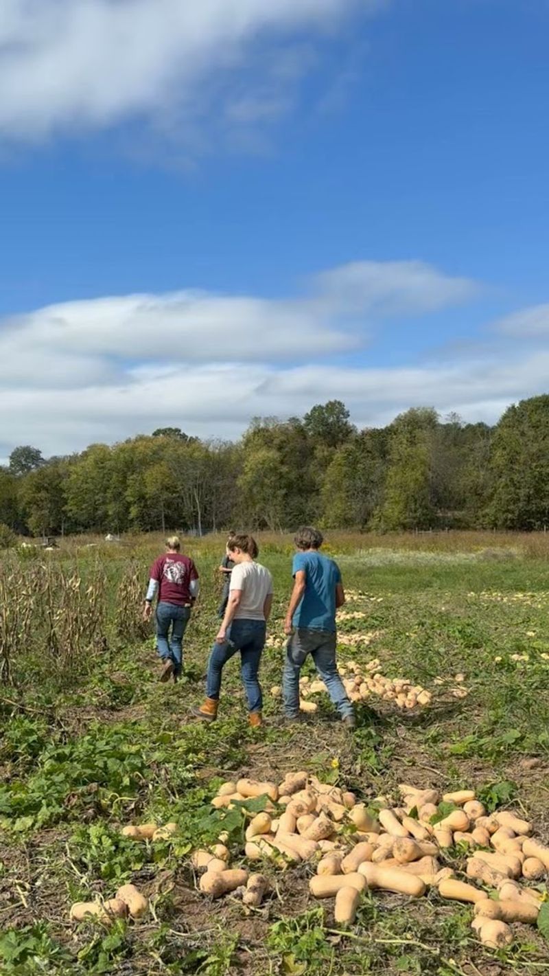 A Pie Shop With a Farm Connection