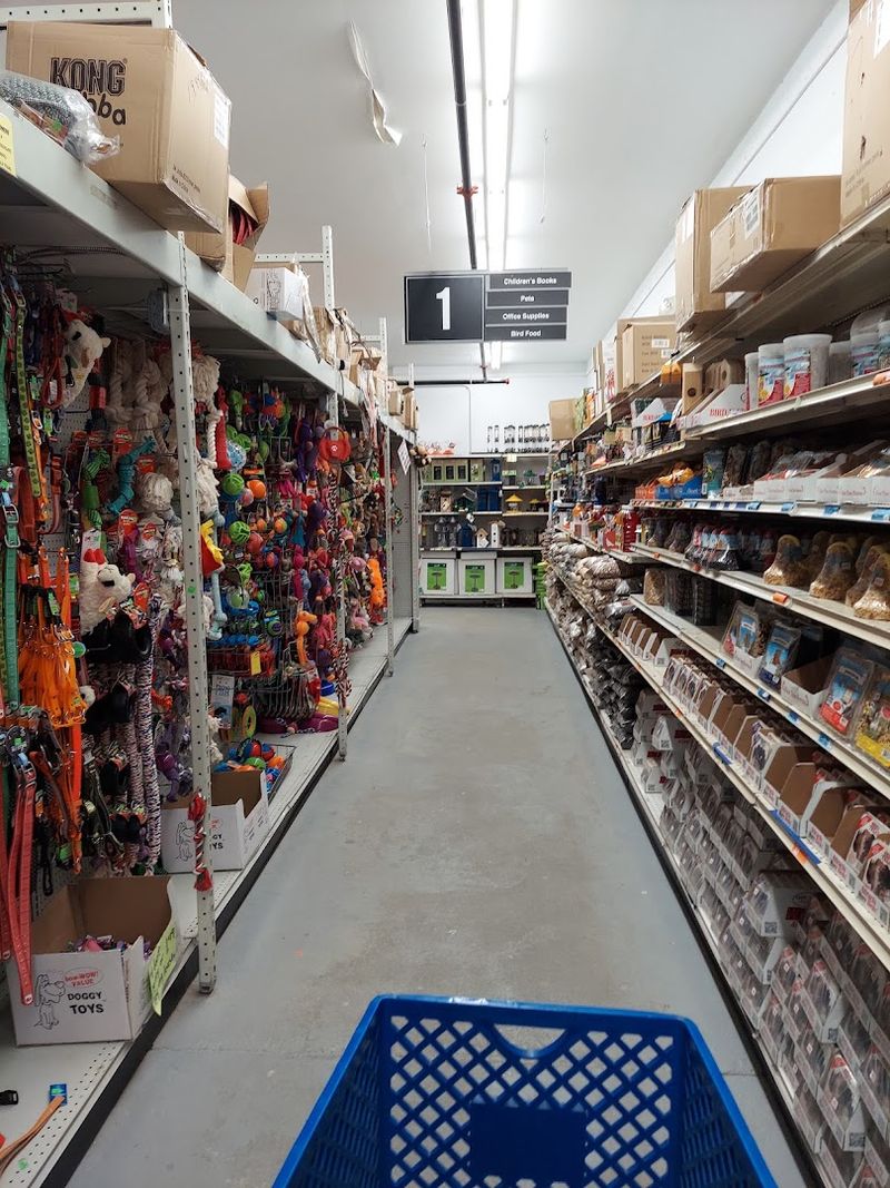 Pet Supplies for the Four-Legged Outdoor Fans