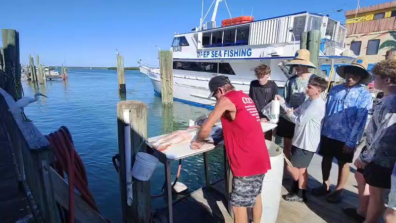 This Florida boardwalk village was born from a hurricane and still feels like a pirate story come to life 10 Pelicans, Birds, and Wild Coastal Wildlife