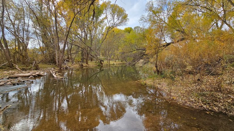 This Beautiful Arizona State Park Is Perfect For Letting Go Of Stress 6 Birdwatching in a Thriving Riparian Habitat