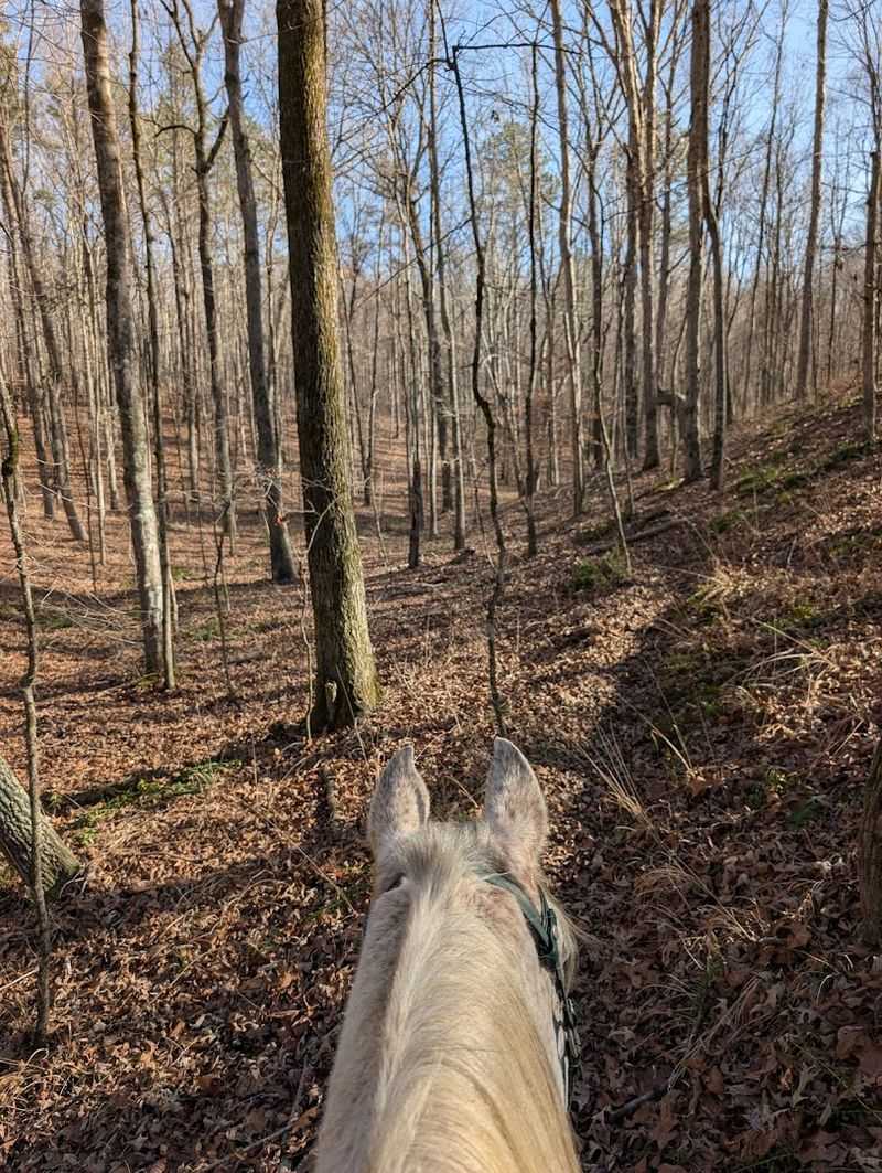 Horseback Riding Through Scenic Terrain