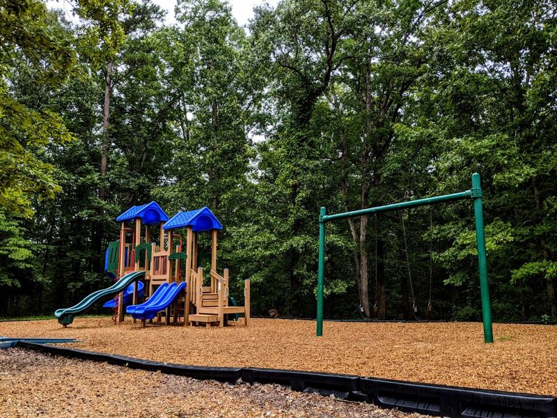 Picnicking and Family-Friendly Fun