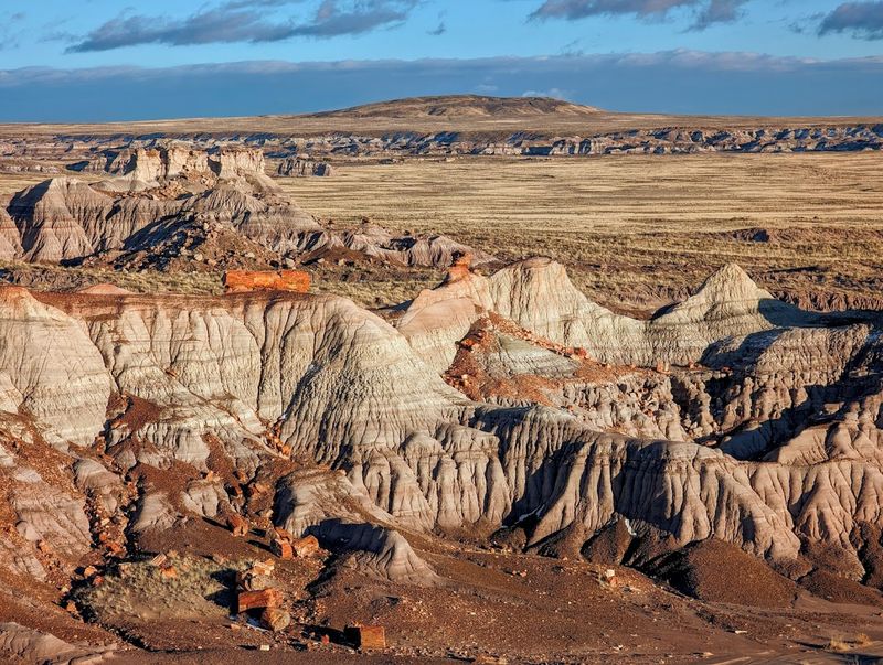 Petrified Forest National Park - Petrified Forest, Arizona