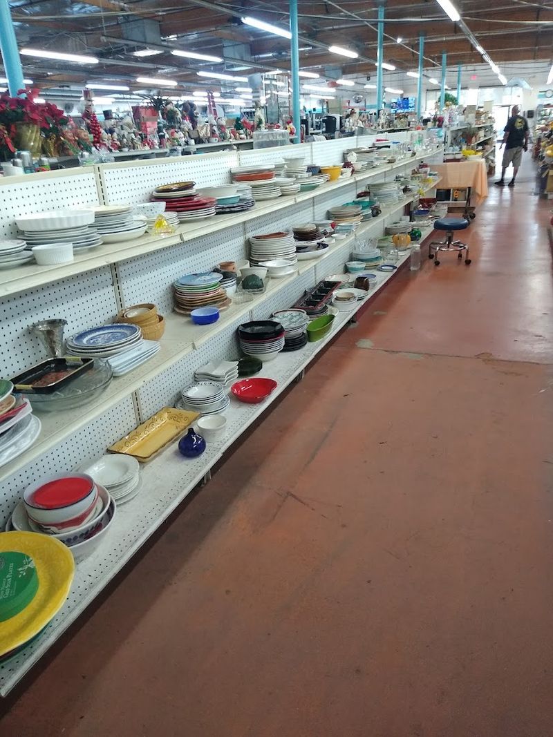 Household Items and Random Treasures