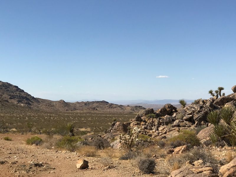 Wide Open Spaces and Room to Breathe