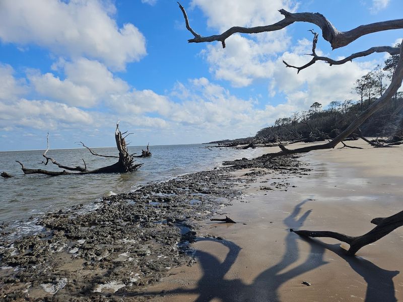 Why Boneyard Beach Deserves a Spot on Your Florida Bucket List