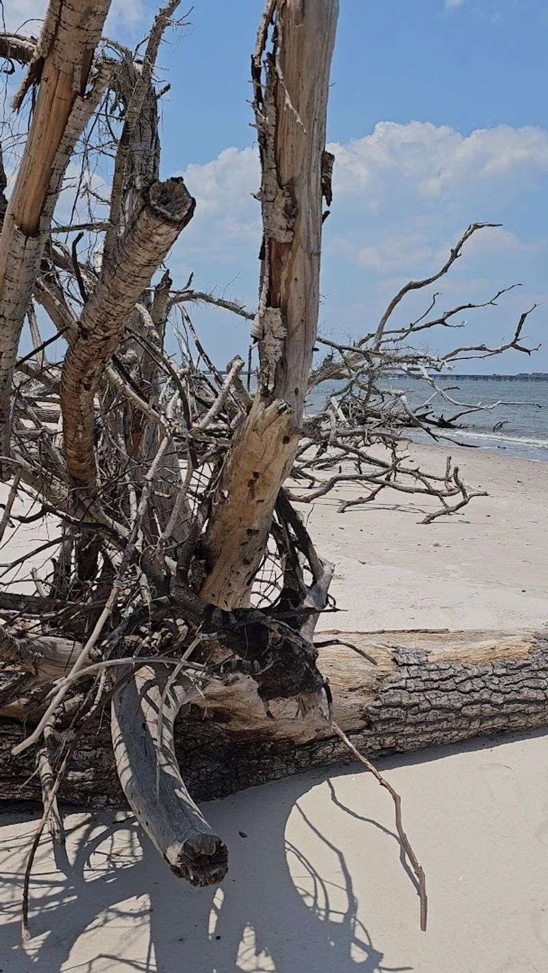 Leaving the Beach Better Than You Found It