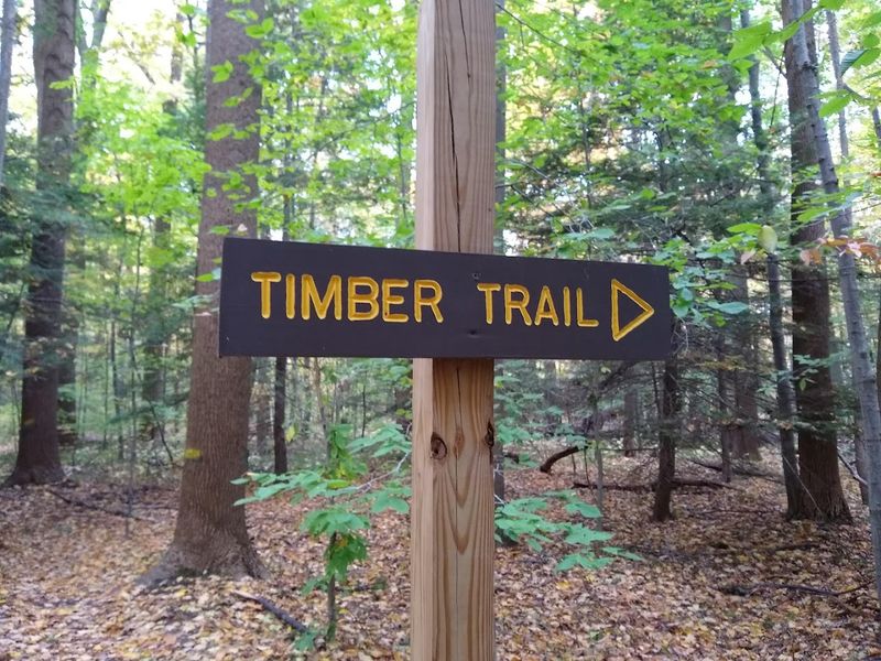 Tick Awareness and Trail Safety at Erie Bluffs