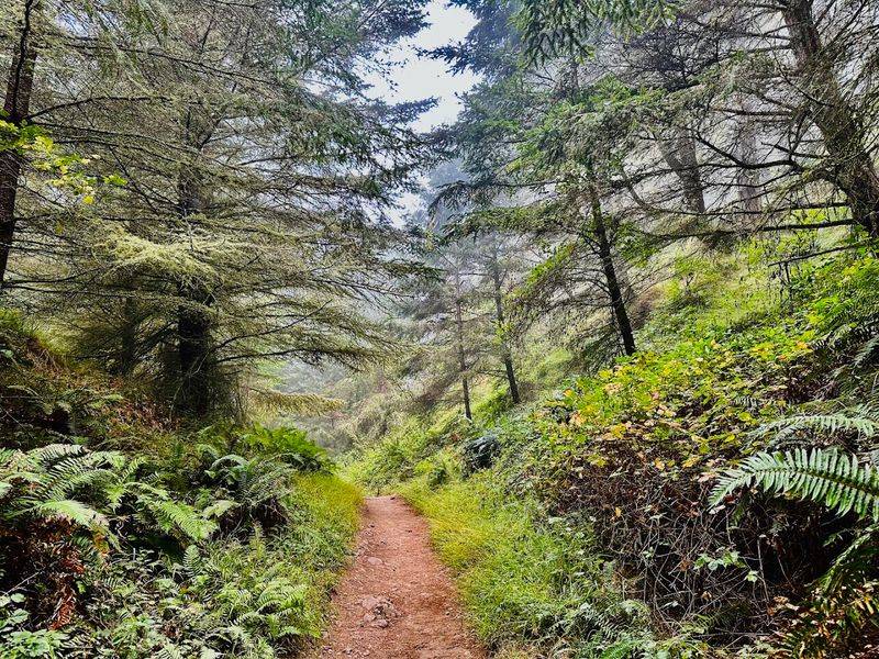 How Long Is the Hike, Really?