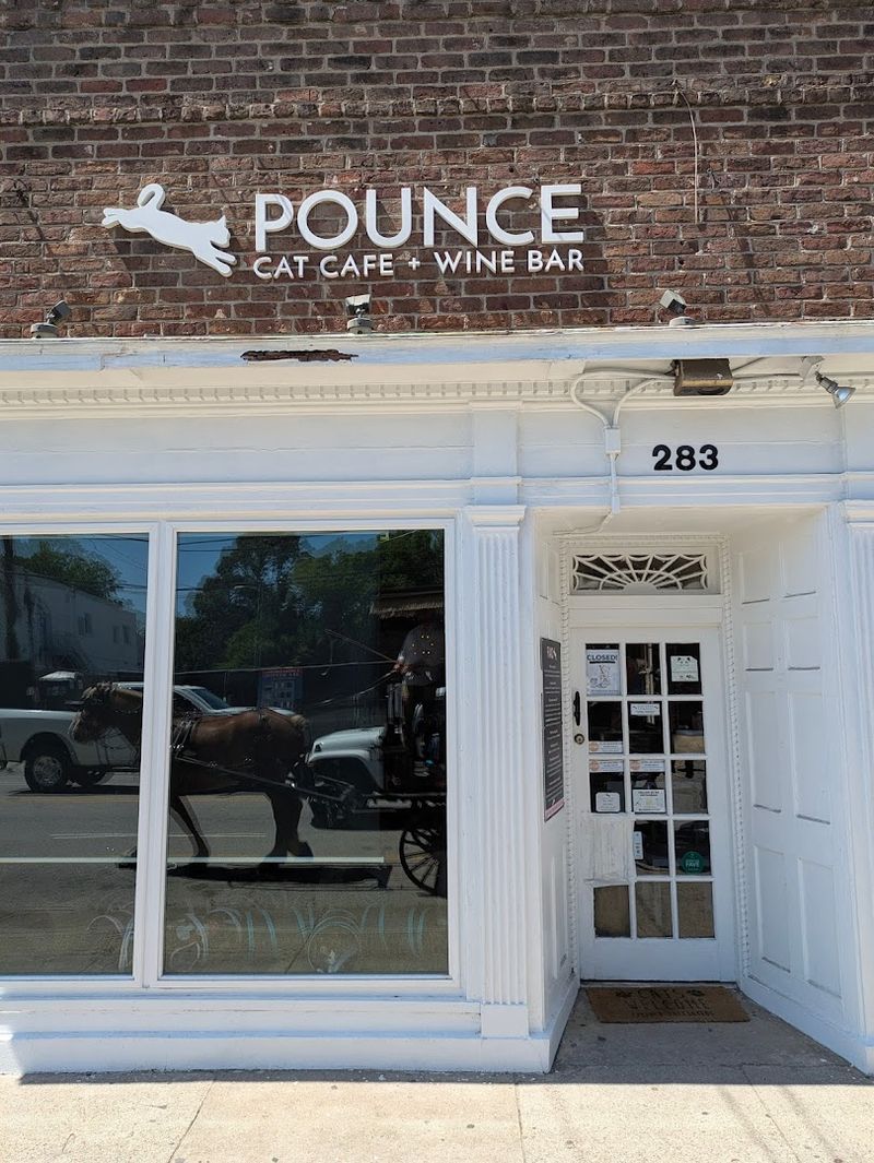 How to Find Pounce and Plan Your Charleston Visit