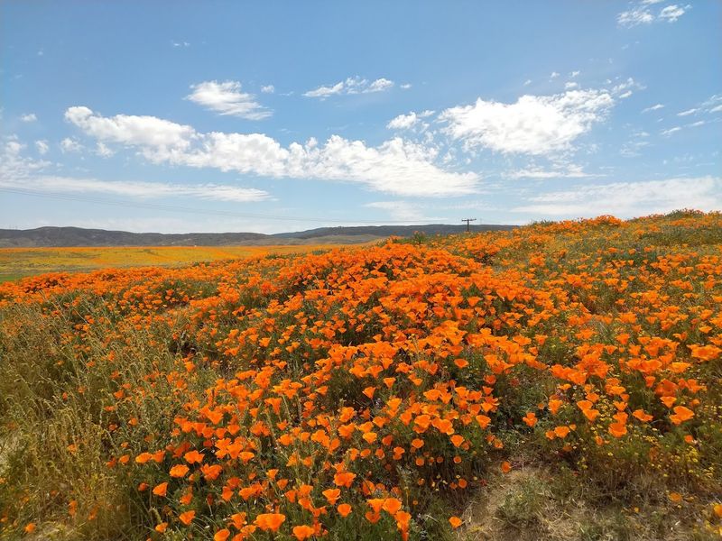 Why This Reserve Deserves a Spot on Every California Bucket List