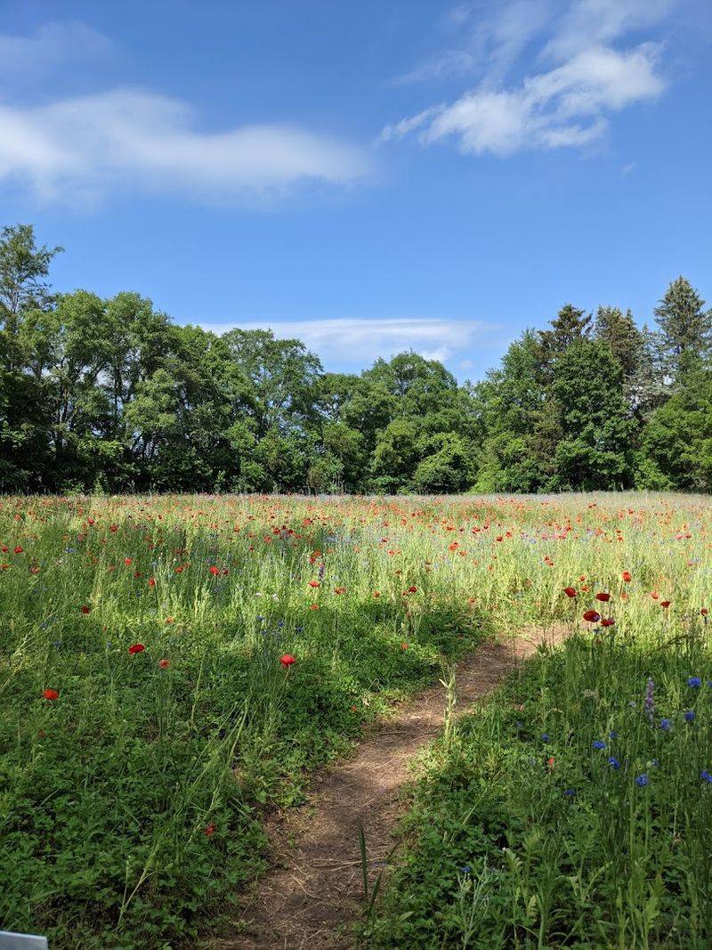 How to Find the Farm Without Getting Lost