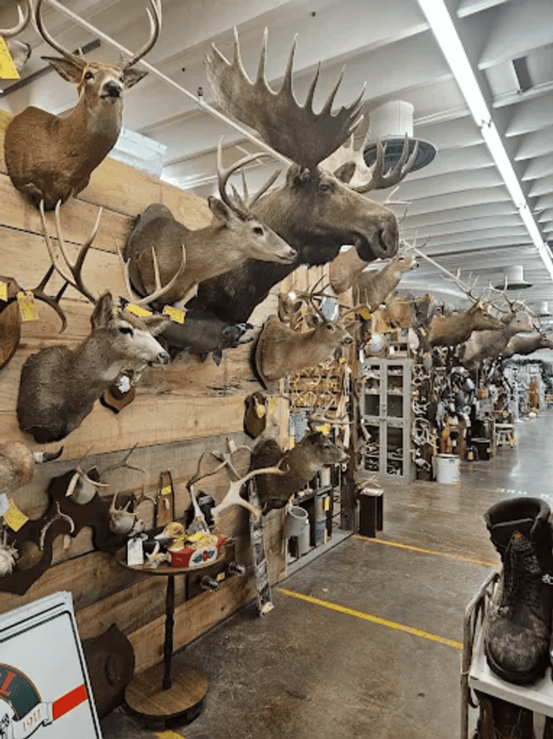 Visitors Traveling from Across Virginia