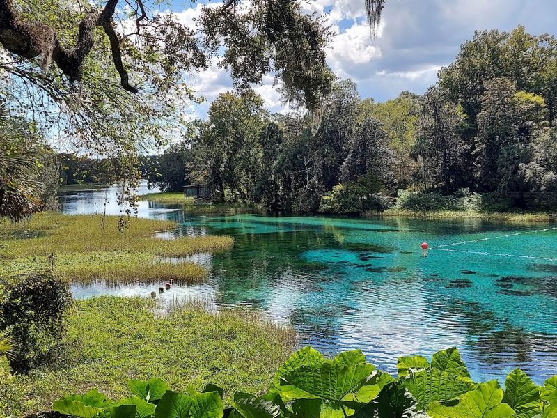 Rainbow Springs State Park - Dunnellon, Florida