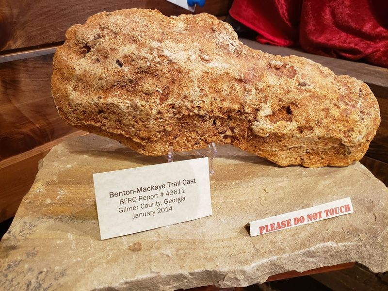 Impressive Collection of Casts and Physical Evidence