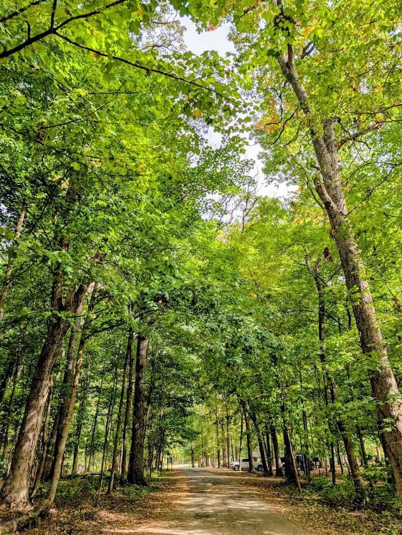 Dog-Friendly Atmosphere