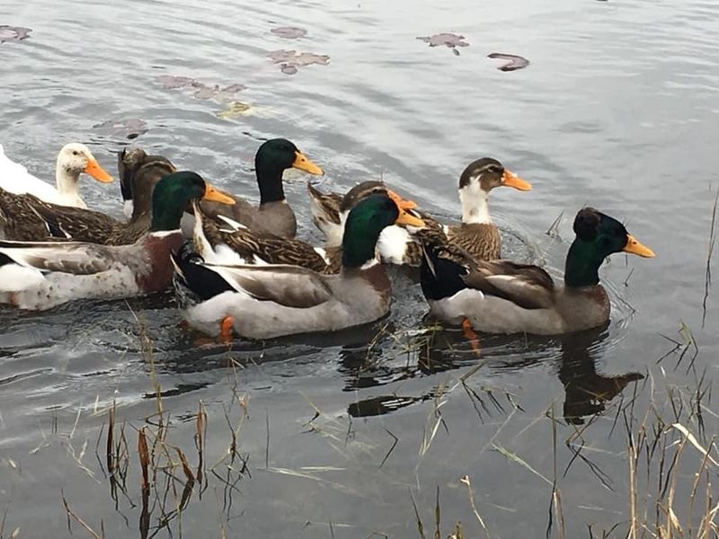 Wildlife Watching Around Every Corner