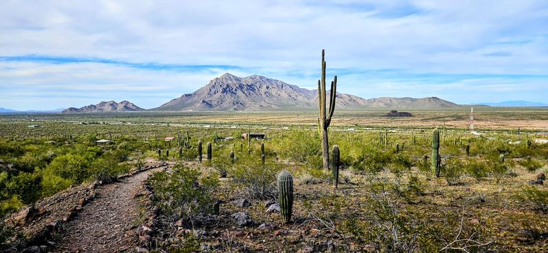 Affordable Entry Fees That Make It Accessible