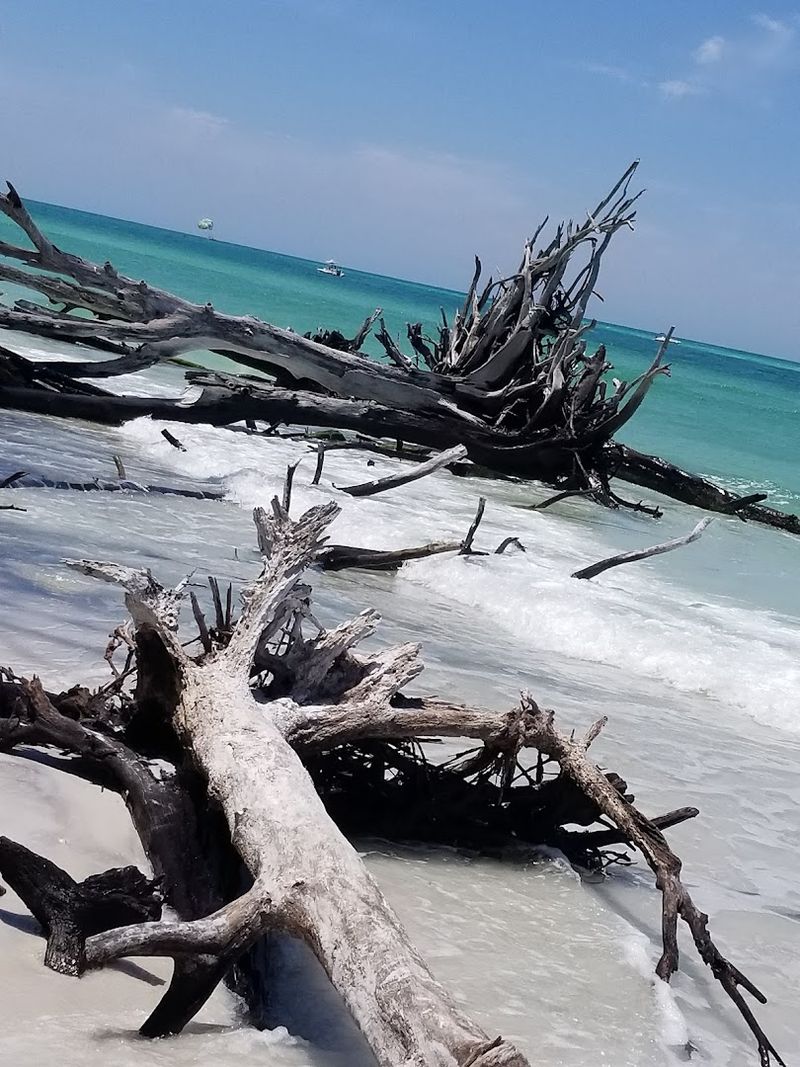 Wildlife Spotting and Nature Walks Along the Shoreline