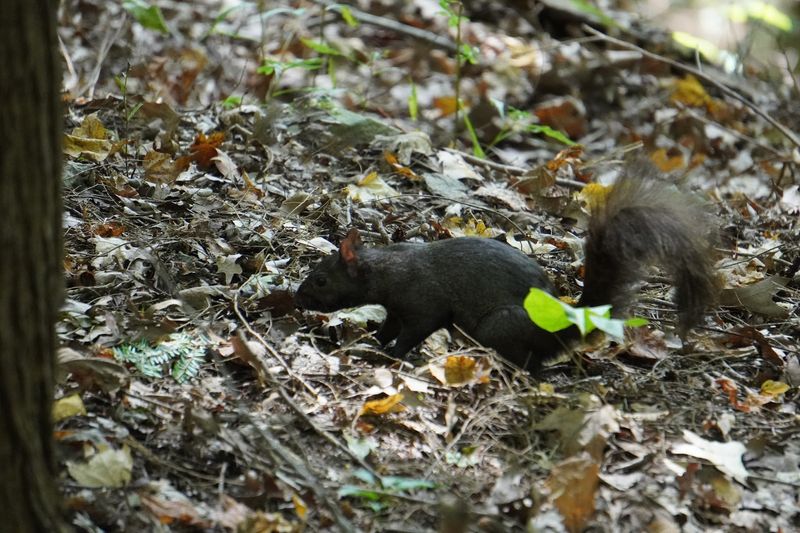 Incredible Wildlife Around Every Corner