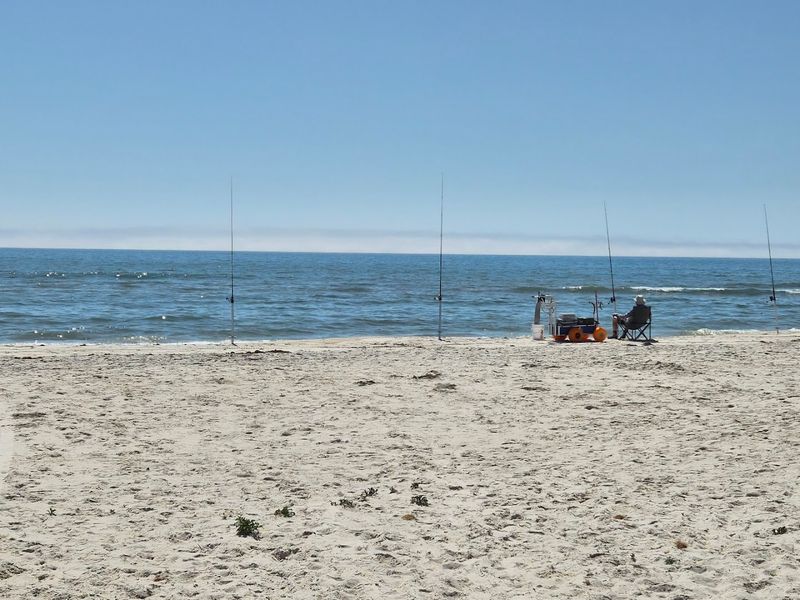 Surf Fishing and Crabbing Right from the Shoreline