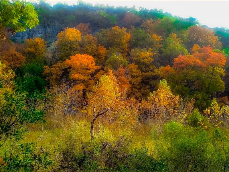 Lost Maples State Natural Area - Vanderpool, Texas
