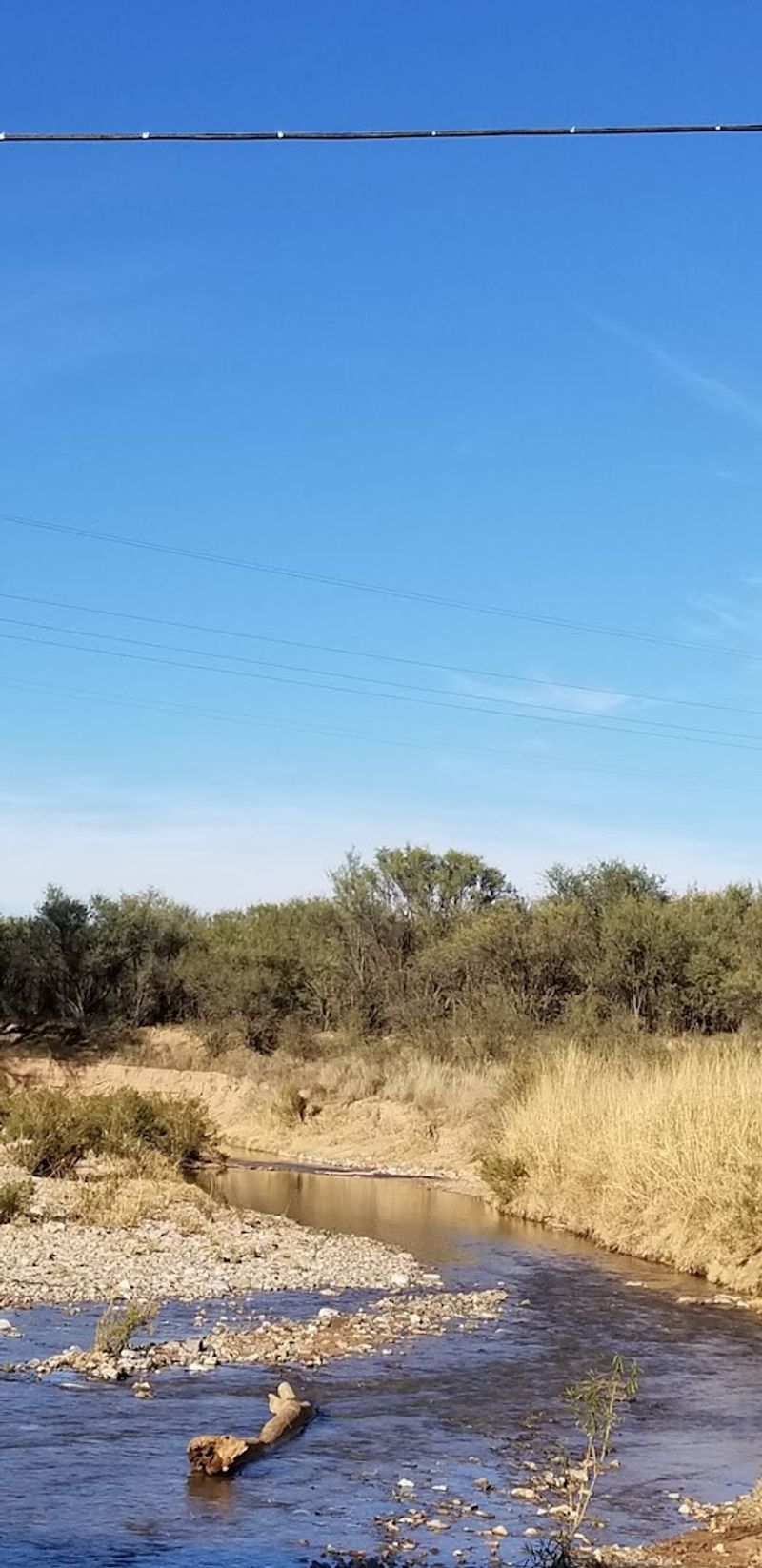 The San Pedro River: A Living Contrast to the Ghost Town