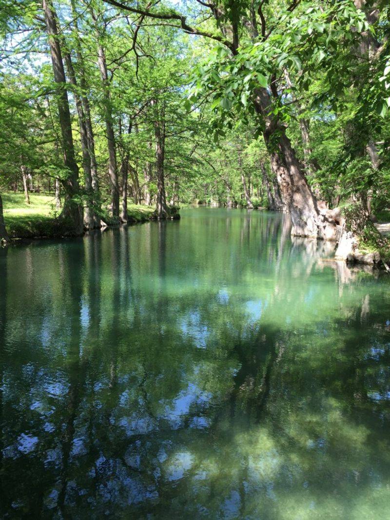Blue Hole Regional Park and Its Cypress-Lined Serenity