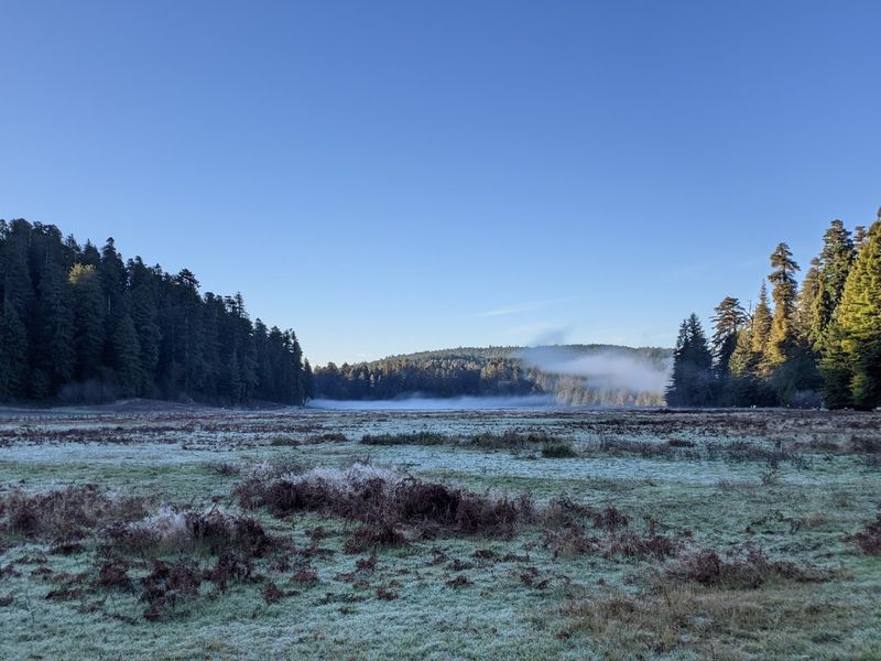 Wildlife Watching Beyond the Elk