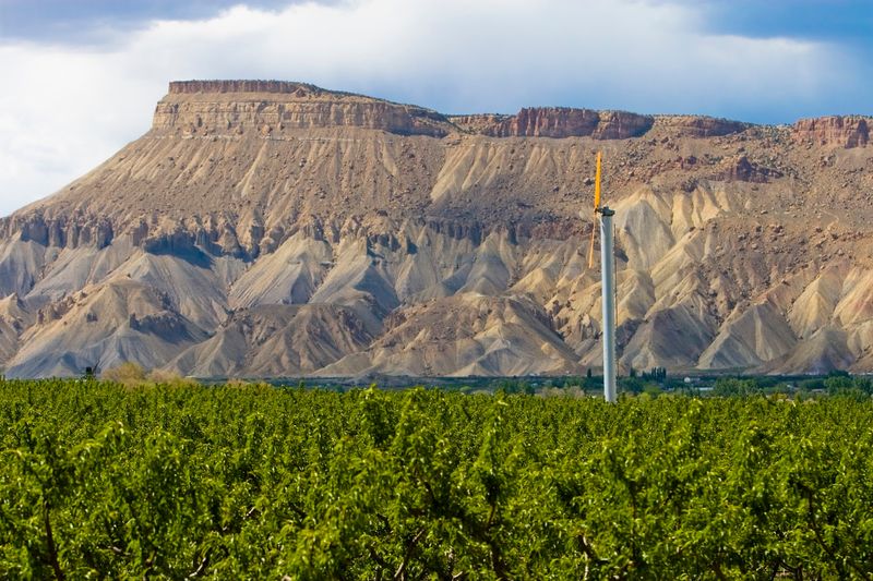 Palisade Fruit and Wine Byway — A Road Trip Dream