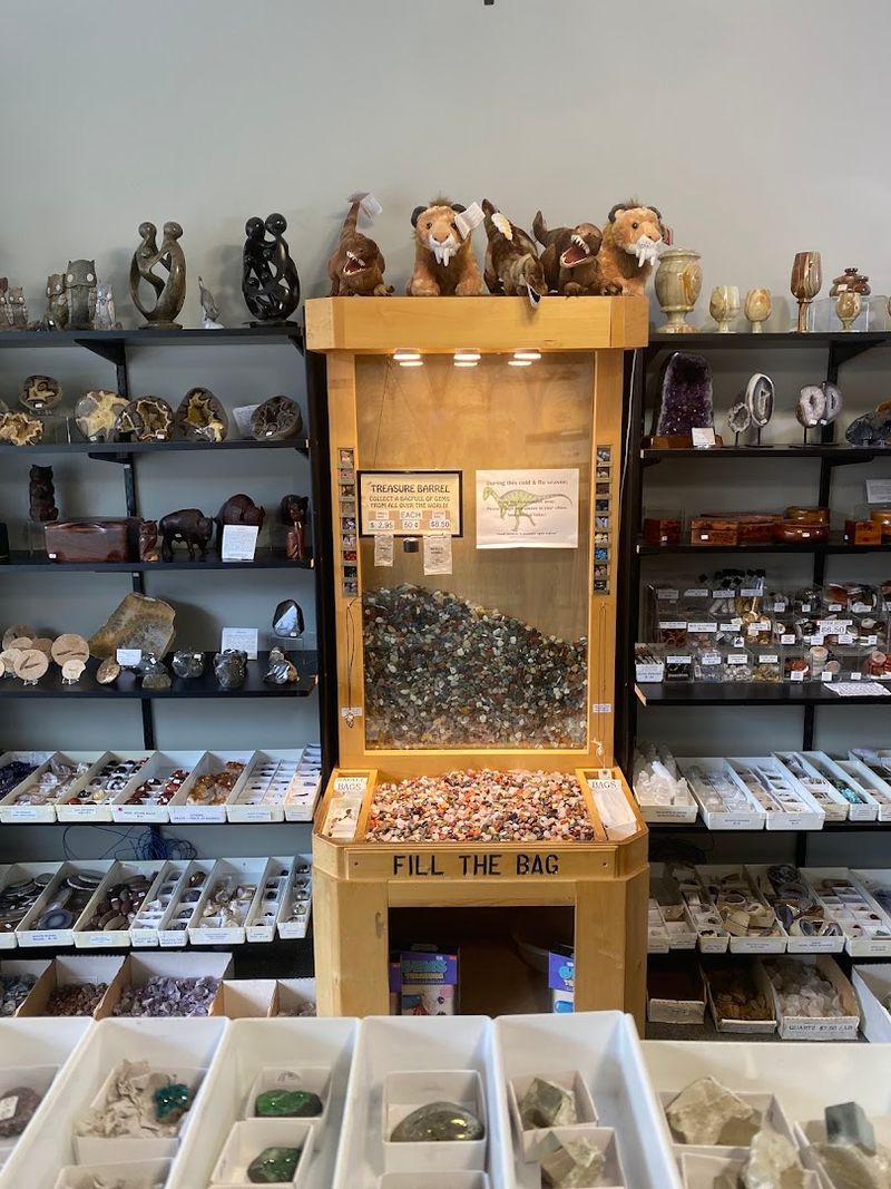 A Budget-Friendly Adventure for Kids and Families